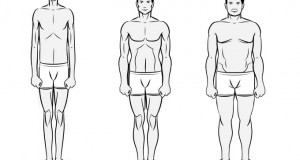 Genetic bodytypes