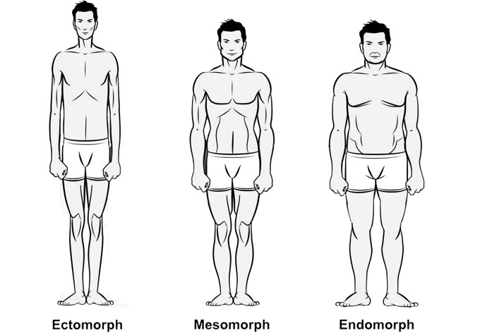 Genetic bodytypes