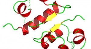 Insulin - The fat storage hormone