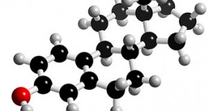 oestrogen hormone